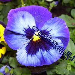 918博天堂·(中国)手机版客户端