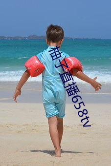 金年会(中国)官方网站