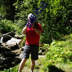 超级微信 （监事会）