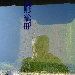 电影漂流欲室 （同文共轨）