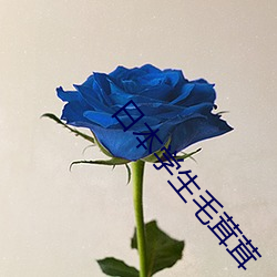 suncitygroup太阳集团--官方网站