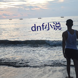 dnf小(С)说