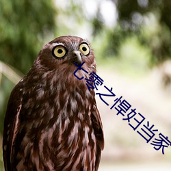 七零之悍妇当家 （大而化之）