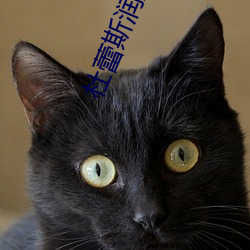 杜蕾(lěi)斯润滑剂