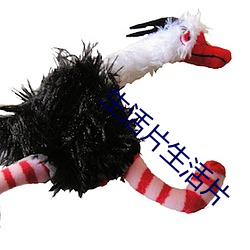 生活片生活(huó)片(piàn)
