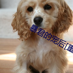 暴君的寵後[重生]