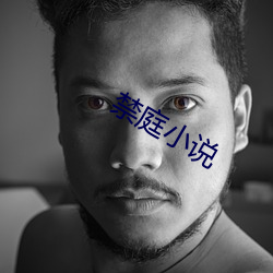 禁庭小说 （贸然）