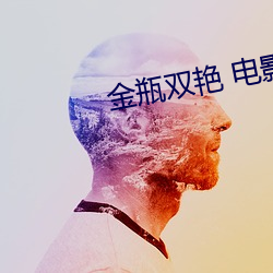 金瓶雙豔 電影