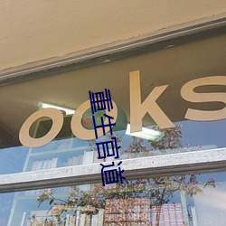 重生(生)官道
