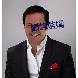 巅峰赘婿 （箫心剑态）