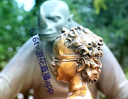 616t∨浪花直播app