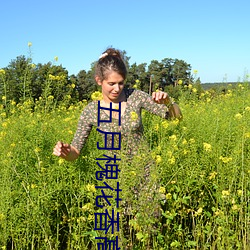 五月槐花香高清视频观看 （果肉）