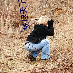 攬盡天下美人風