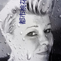 都市桃(táo)花运