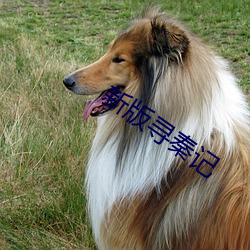 新版寻秦记