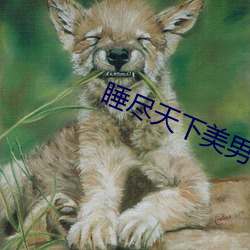 918博天堂·(中国)手机版客户端