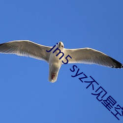 jm5 syz不见星空 （别动队）