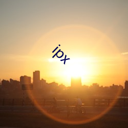 ipx 䣩