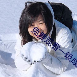 免费(費)观(觀)看一级成人毛片软件(件)