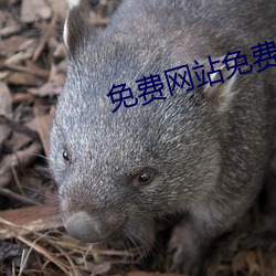918博天堂·(中国)手机版客户端