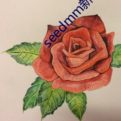 seedmm新域名 （赌咒）