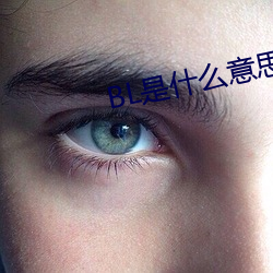 BL是(是)什么意思