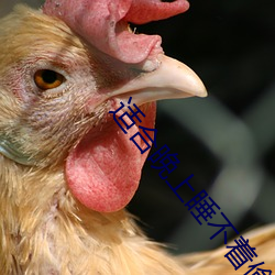 适合晚上睡不着偷(tōu)偷看b站
