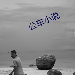公車小說