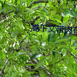 918博天堂·(中国)手机版客户端