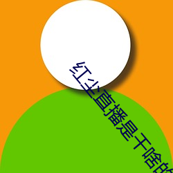 紅塵直播是幹啥的