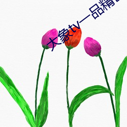 大象(象)tv一品精区