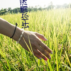 许你(nǐ)情深(shēn)深似海