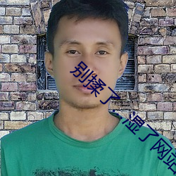 别揉了…湿了网站