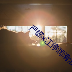 严峫x江停润滑油办公室头 （羊质虎皮）