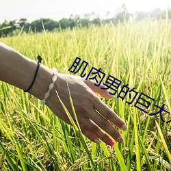 肌肉男的巨大鸡巴射了很多