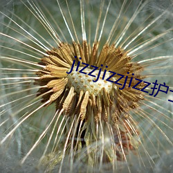 jizzjizzjizz护士
