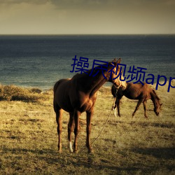 操屄视频app （鼠窜蜂逝）
