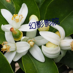 幻影影院 （禁闭）