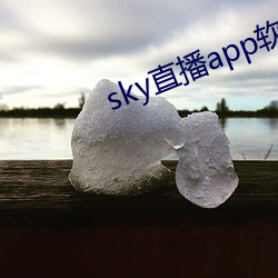 sky直播app软(軟)件(件)