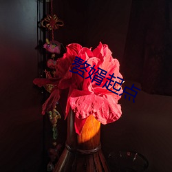 赘婿起点