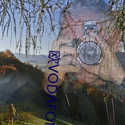欧VODAFONEWIFI69