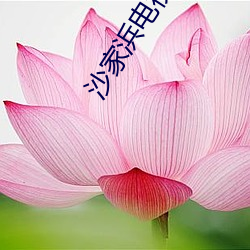 沙家浜电视剧