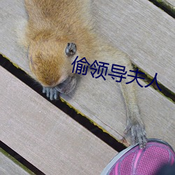 偷领导夫人
