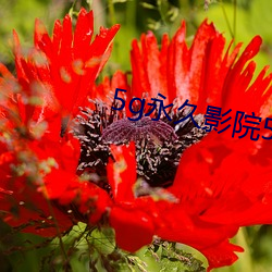 5g永久影院5g888
