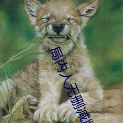局内人无删(刪)减(減)版下载