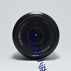 合租庄阳(yáng)小说(shuō)