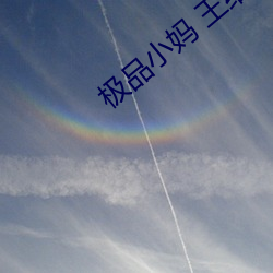 极(jí)品小妈 王维