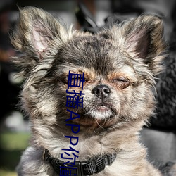 尊龙凯时·(中国)官方网站