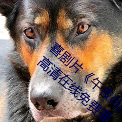 ǲ(й)ٷվ