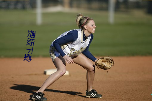 费版下载 漫漫）